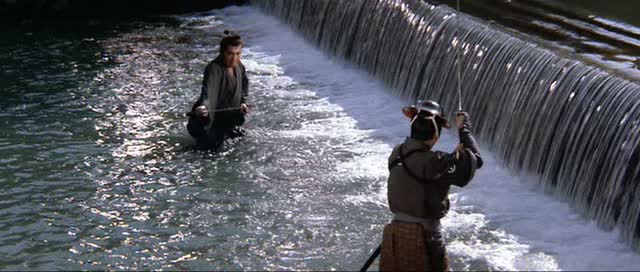 Lone wolf and cub